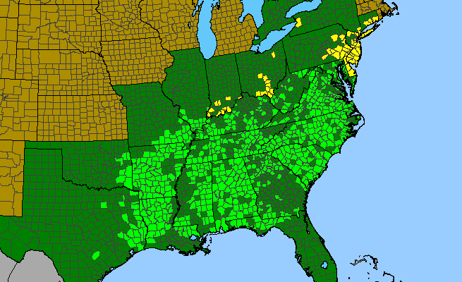 The range of Asclepias variegata